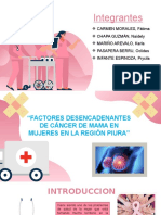 Cuidado de Enfermeria (Cancer de Mama)