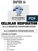 16.2.3 Oxidative Phosphorylation: Cellular Respiration