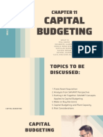 Capital Budgeting Analysis from a SAVANT Perspective