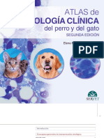 Atlas de Citologia Clinica Perro Gato