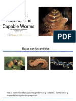 Annelids Powerful and Capable Worms