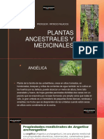 Plantas Ancestrales y Medicinales Clase # 20