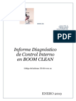 5. Informe Diagnóstico de Control Interno en BOOM CLEAN LTDA