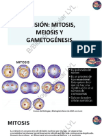8-Mitosis, Meiosis, Gametognesis