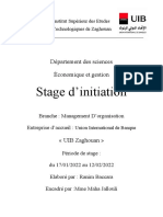 Rapport Du Stage d’Initiation-Ranim Baccara