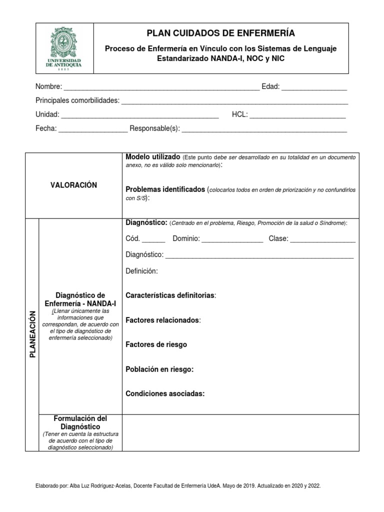 Formato Plan Cuidados | PDF | Enfermería | Ciencias de la Salud