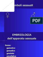 3) Cenni Di Embriologia