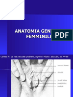 5) Anatomia Genitale Femminile