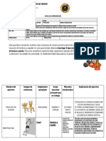 Guia Electivo 3