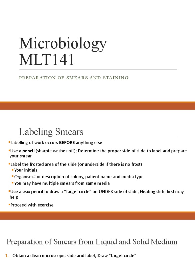 Solved Questions Smear Preparation And Simple Staining 1 Chegg Com