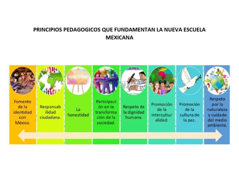 Principios Pedagogicos Que Fundamentan La Nueva Escuela Mexicana | PDF