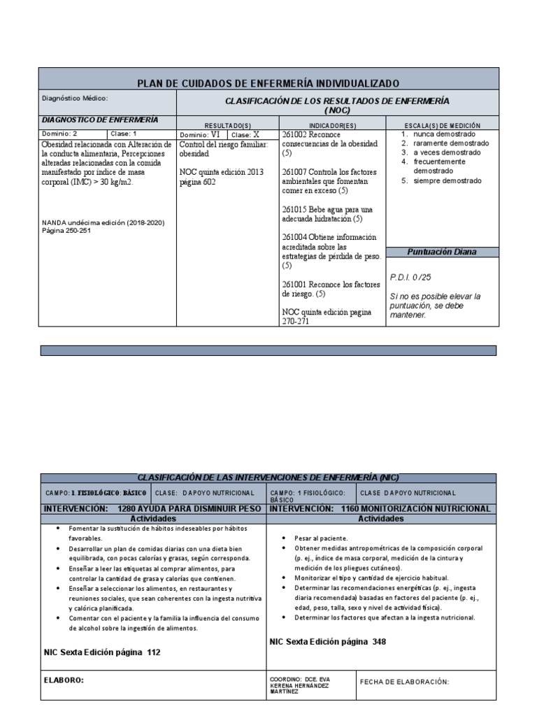 Plan de Cuidados en Obesidad | PDF | Obesidad | Alimentos