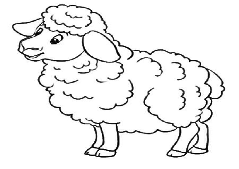 Oveja en documento PDF