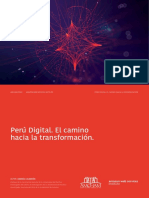 Peru Digital-El Camino Hacia La Transformacion 20210317