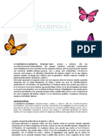 Exposicion de La Mariposa