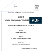 Ensayo Macro-Criminalidad Crimen Organizado. Porras Ruiz Estrella