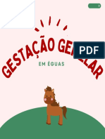 Gestação Gemelar - Post