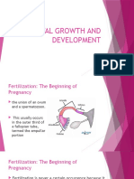 Fetal Growth Stages