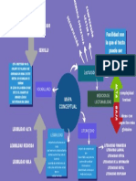 Mapa Conceptual