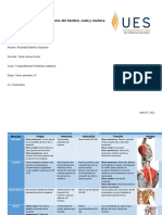 Músculos Hombro, Codo y Muñeca - TMO