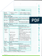 Anatomia Bacteriana