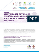 Boletín Autonomia Económica Departamento Del Cauca.