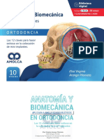 Las 12 claves para hacer exitoso en la colocación de mini-implantes