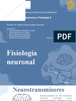 Anatomía y Fisiología II