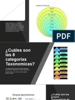 La Clasificación Taxonómica