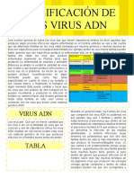 Clasificación de los virus ADN