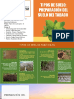 Tipos de Suelo para El Tabaco