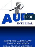 Audit Internal