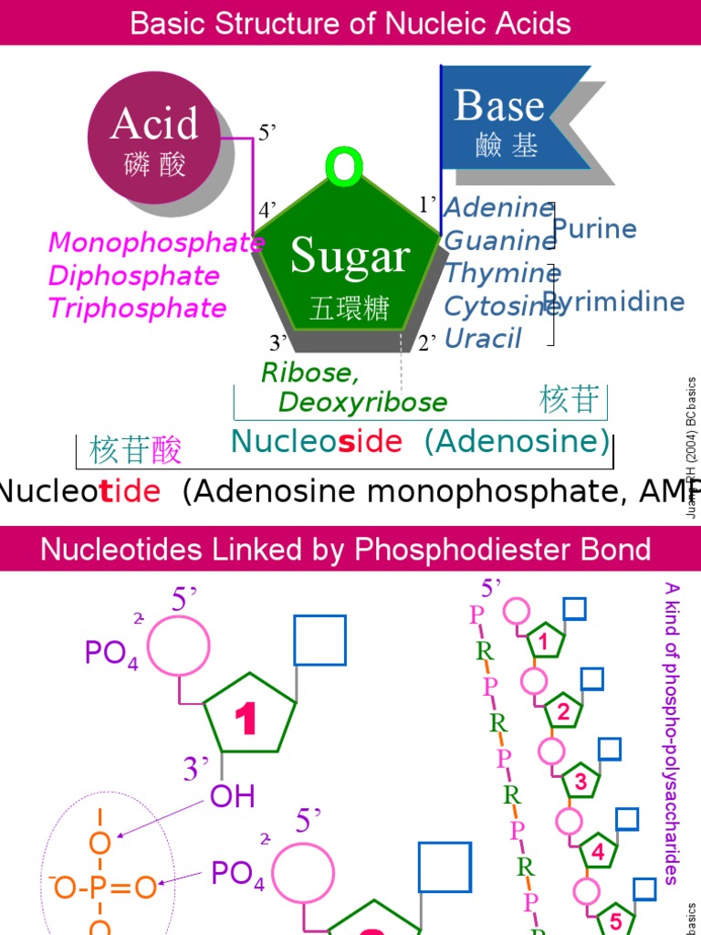 NA01 Structure | PDF