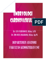 k1-Cvs1 K-1 Embryologi CV