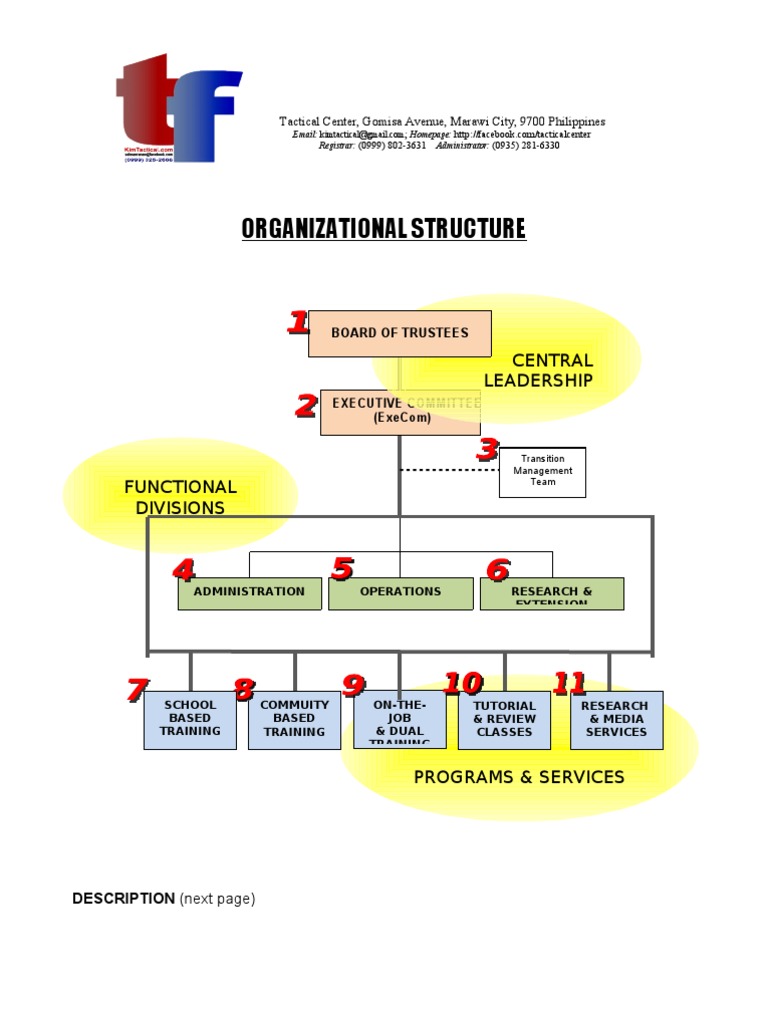 Organizational Structure Overview | PDF | Business