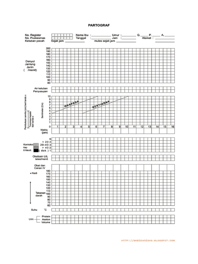 Form Inc Partograf | PDF