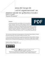 Gobernanza Del Riesgo de Desastres A Nivel Organizacional