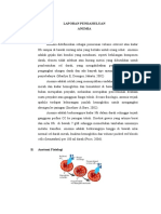 Laporan Pendahuluan Anemia