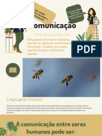 Comunicacao Introducao