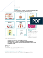 Activity 2.1: Organization of The Body