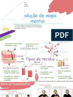 Universidade federal do párá mapa mental tecidos