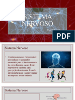 Sistema nervoso e suas funções