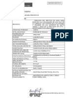 1.0. Resumen Ejecutivo