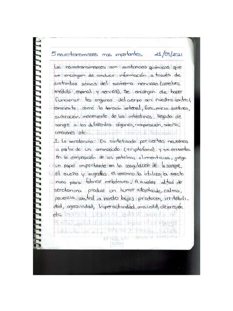 Neurotransmisores PDF