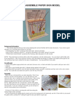 Cut-And-Assemble Paper Skin Model: Background Information