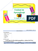 Unidad de Aprendizaje-V Ciclo (5°, 6°) - Julio