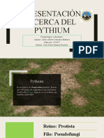 Presentacion Pythium Fito 2022