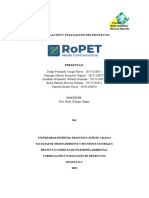 Proyecto - RoPET