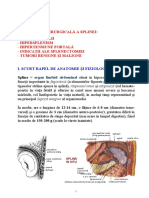 Patologie Splenica Curs