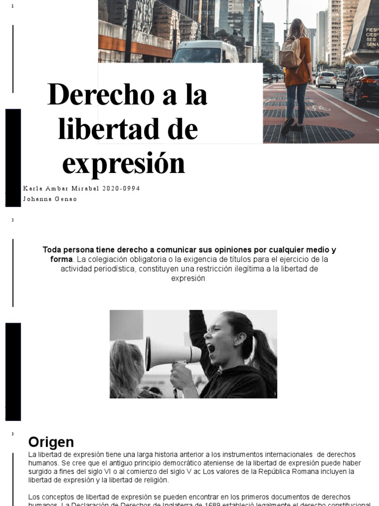 Derecho a la Libertad de Expresión | PDF
